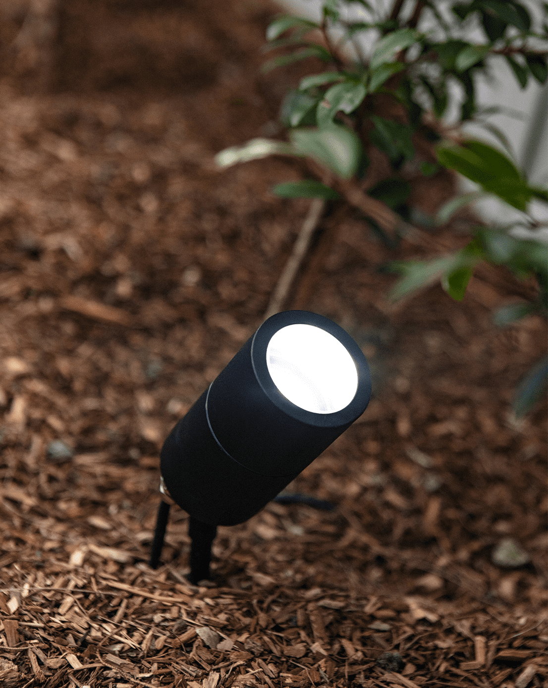 Read Our Warranty Statement