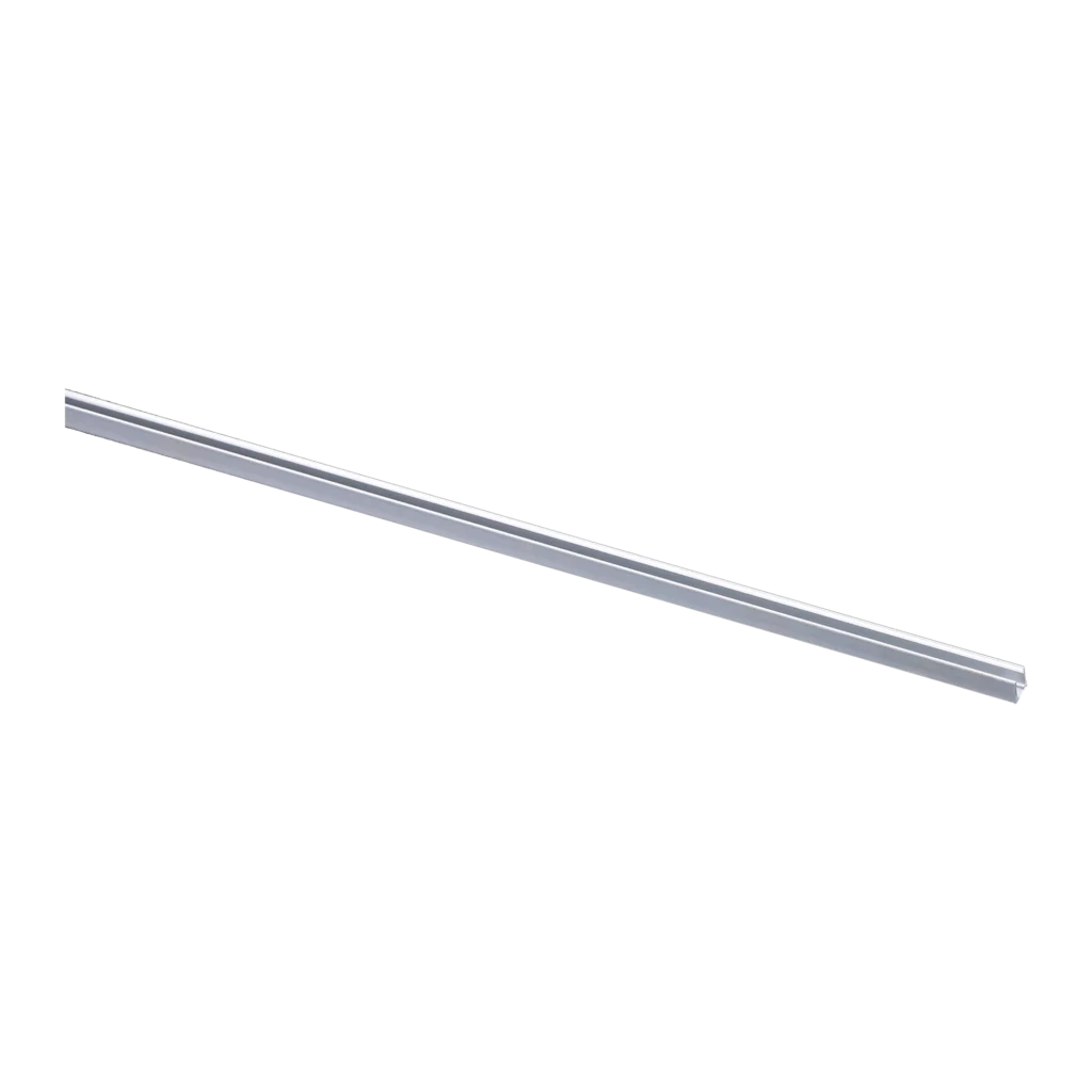 PLEO-LP-0408-RG