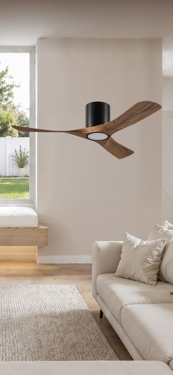 Comfort Meets Contemporary Style